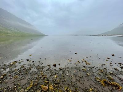 thumbnail (7).jpg