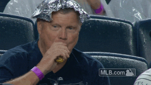 tin foil hat hot dog.gif
