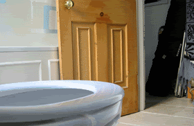 Toilet+jump_307011_4954100.gif