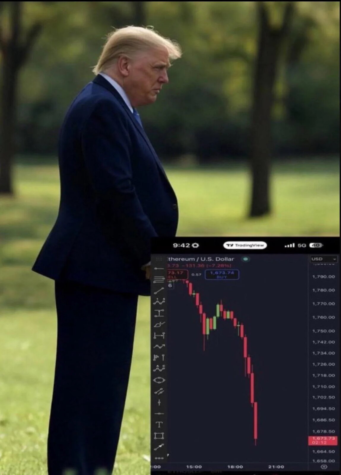 tp.jpeg