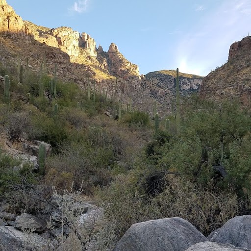 Trail Head.jpg