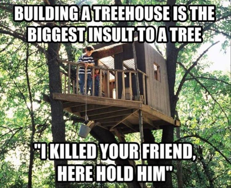 tree-house.jpg