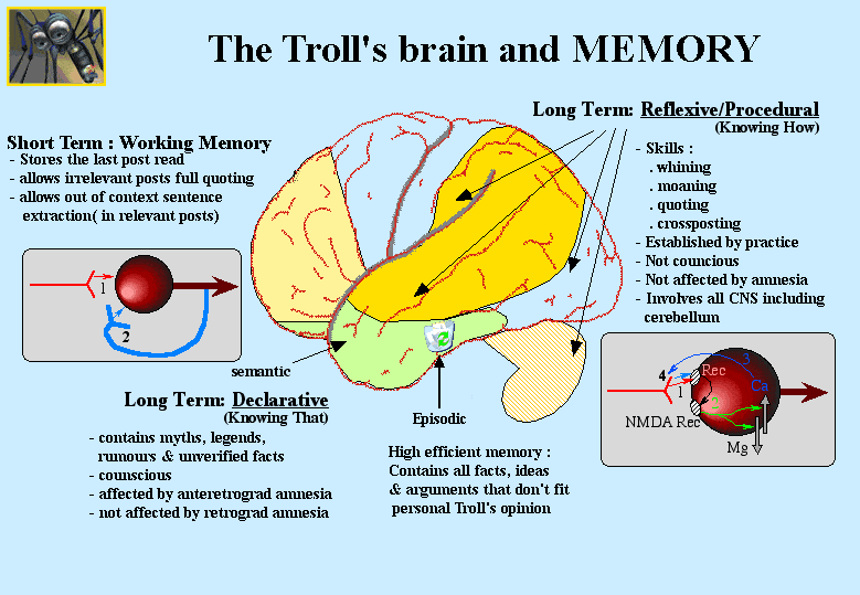 TrollsBrainandmemory.gif