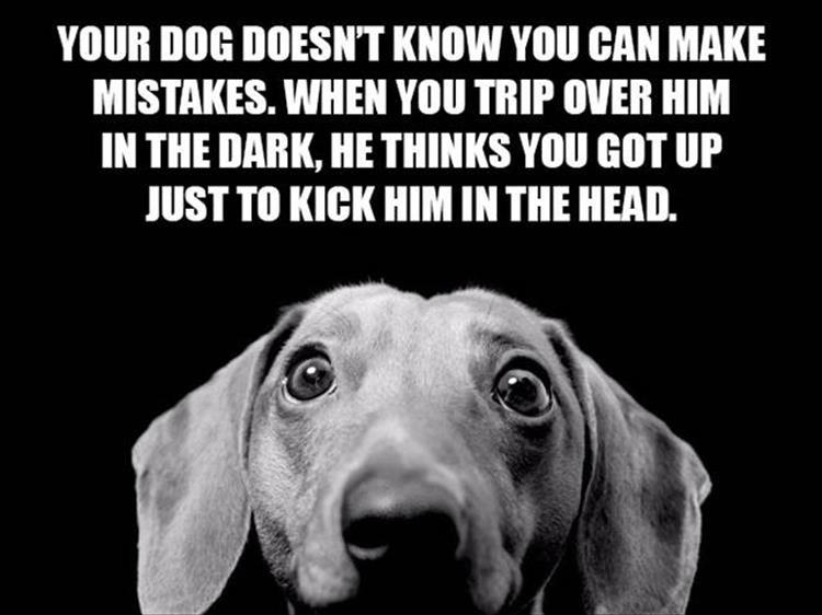 true-story-11.jpg