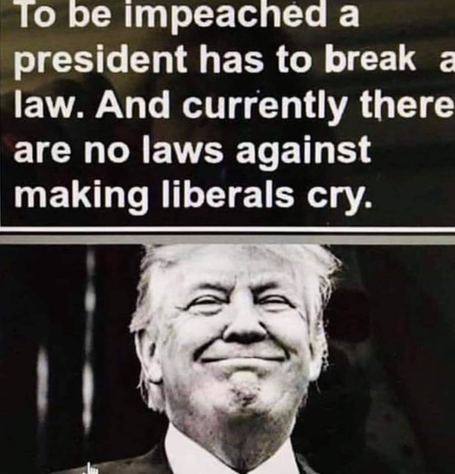 trump makes liberals cry.jpg