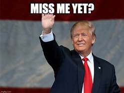 Trump miss me.jpg