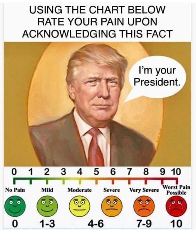 Trump pain.png