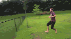 trying-to-jump-over-a-fence1.gif