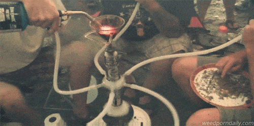 tumblr_m270o0EWRs1qjczh3o1_500.gif