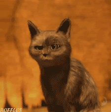 tumblr_meh2fkqYAC1rdb9xfo1_250.gif