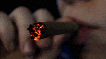 tumblr_mrghhxMwdN1qc17seo1_400.gif