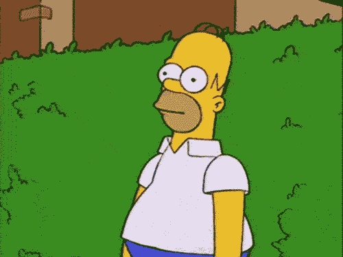 tumblr_n3leoqtssx1tvs3v3o1_500-1.gif