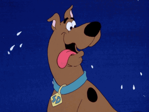 tumblr_n47ho9gtCl1s2wio8o1_500.gif