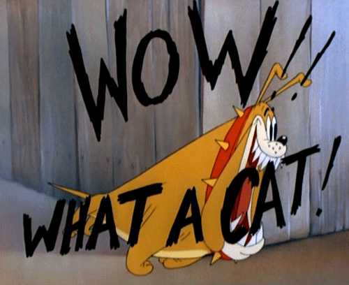 tumblr_n59dw9NzHn1rujxpzo1_500.gif