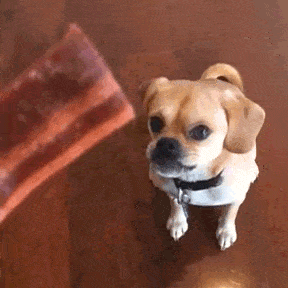 tumblr_n7j3xoMhCU1tq87b5o2_400.gif