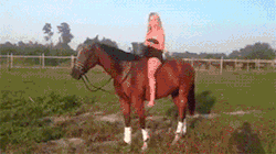 tumblr_navmr42Zv21t95h1uo1_250.gif