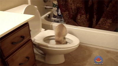 tumblr_nf5keazKIQ1r3gb3zo2_400.gif
