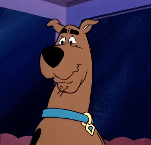 tumblr_nlbt4o85Ku1s2wio8o1_500.gif