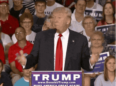 tumblr_nwy8qhQ4l81qznwjno1_400.gif