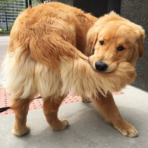 tumblr_o7fuiyzWJk1qe25dno1_500.jpg