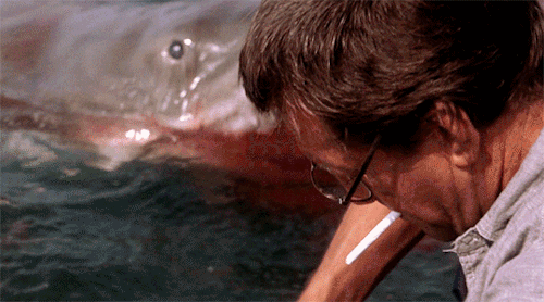 tumblr_pbor6z1Lf91x0bvwko3_500.gif