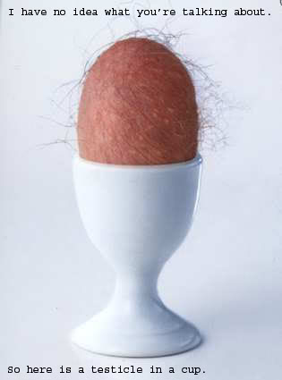 understand-testicle.jpg