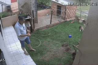 unexpected_01.gif