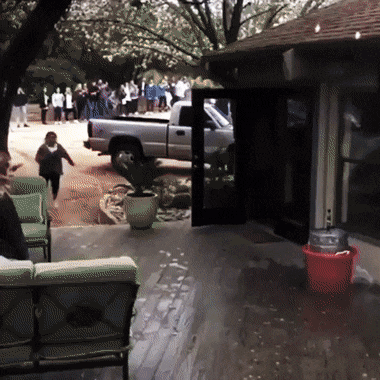 UnfitJubilantFirebelliedtoad-size_restricted.gif
