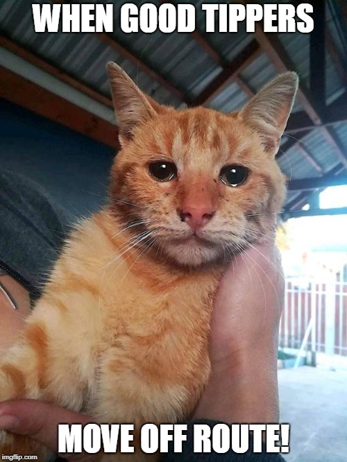upload_2018-12-12_7-44-5.jpeg