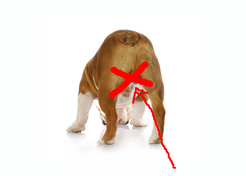 upload_2018-5-18_7-22-48.png