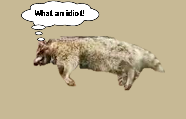 upload_2019-1-12_13-16-40.png