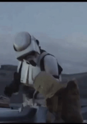 upload_2020-1-12_19-15-17.gif