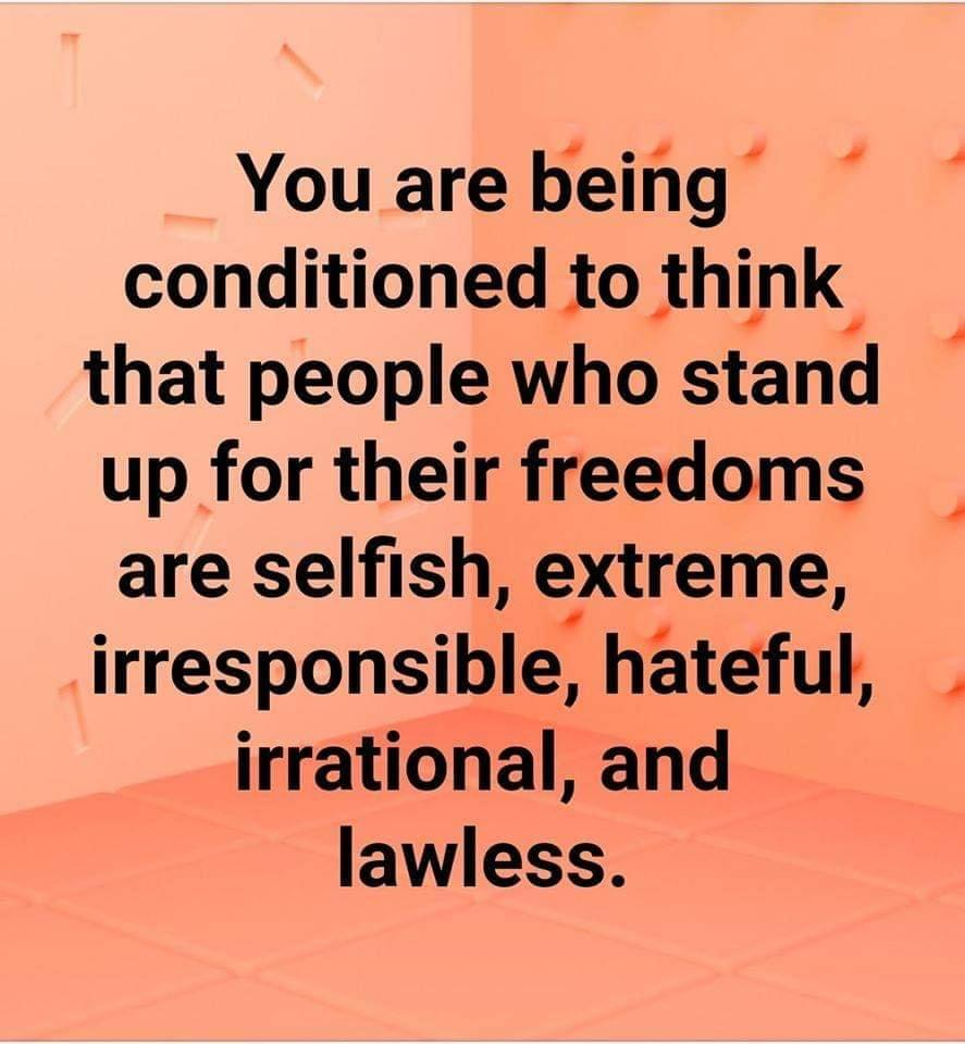 upload_2020-5-4_12-54-40.png