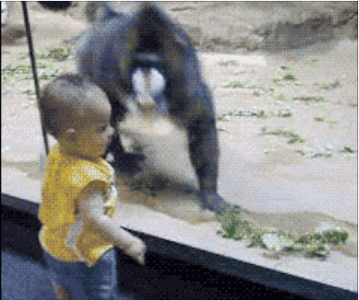 Vcp0i49D2FWog.gif