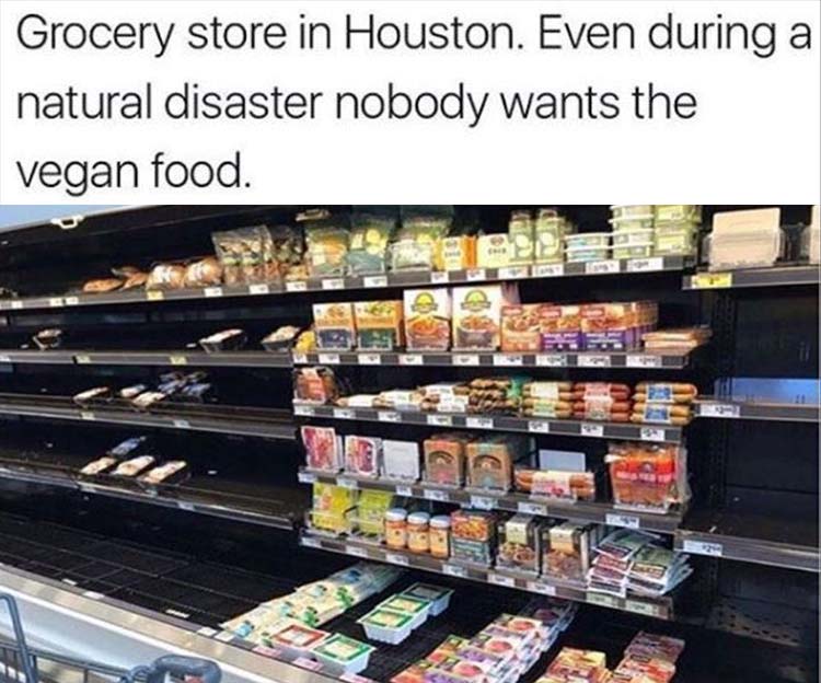 vegan-food.jpg