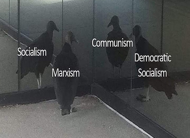 Vulture reflecting Socialism.jpg