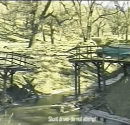 VV0iRgQtnm23u.gif