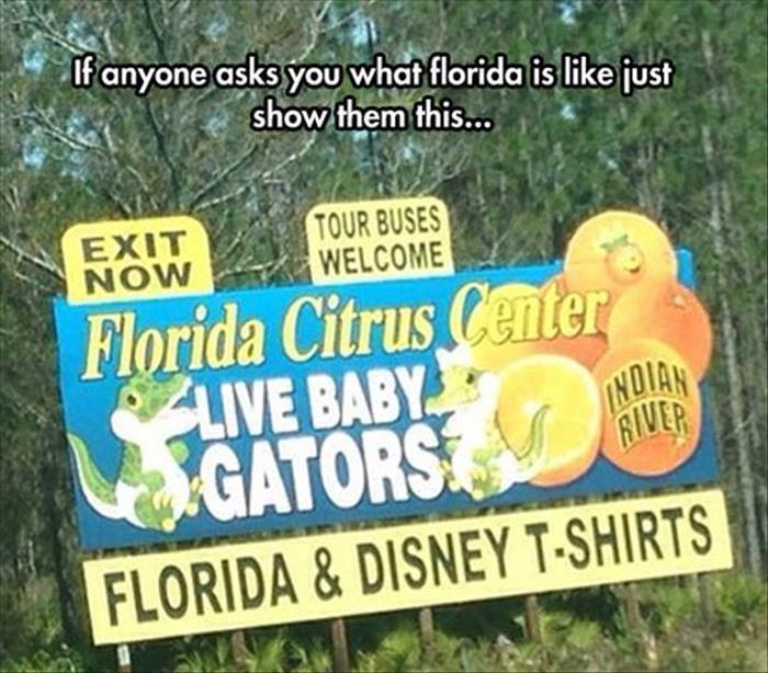 w-funny-pictures-19.jpg