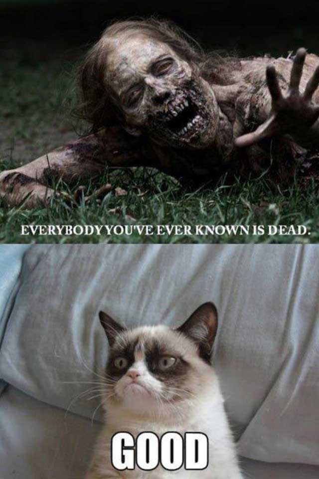 walking-dead-grumpy-cat.jpg