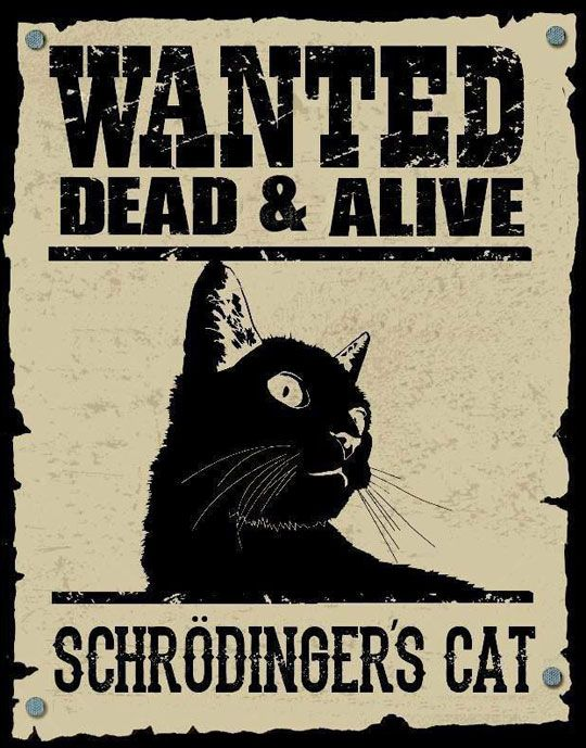 Wanted Dead and Alive Schrodingers cat.png