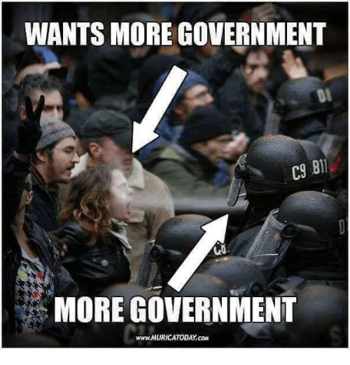 wants-more-government-more-government-www-muricatoday-cow-14984134.png