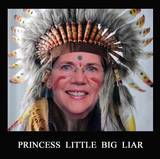 warren-little-big-liar.jpg