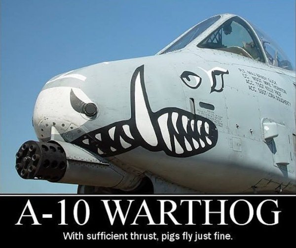 warthog11.jpg