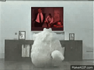 WBmCEh.gif