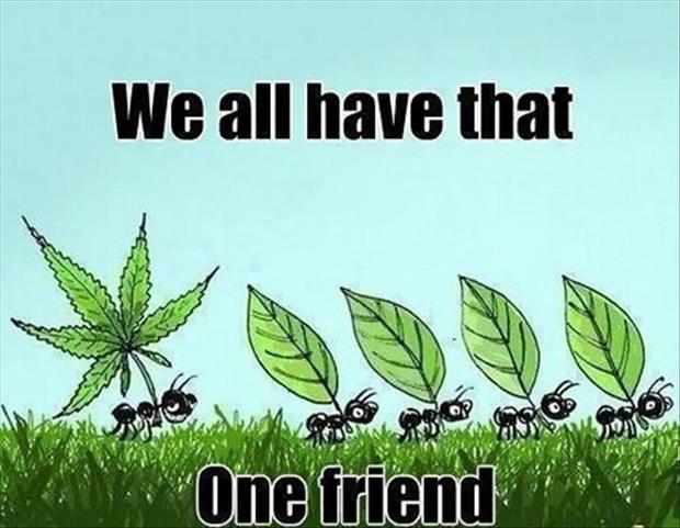 we-all-have-that-one-friend.jpg
