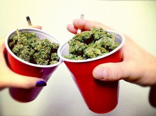 weed-cheers-thcfinder.jpg