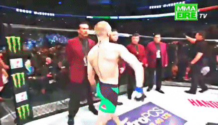 WelllitEnchantedGelada-small.gif