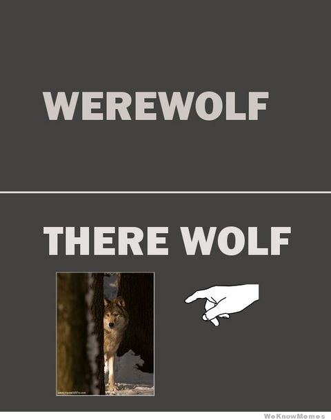 werewolf-there-wolf-meme.jpg