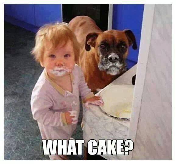 what cake - Copy.jpg