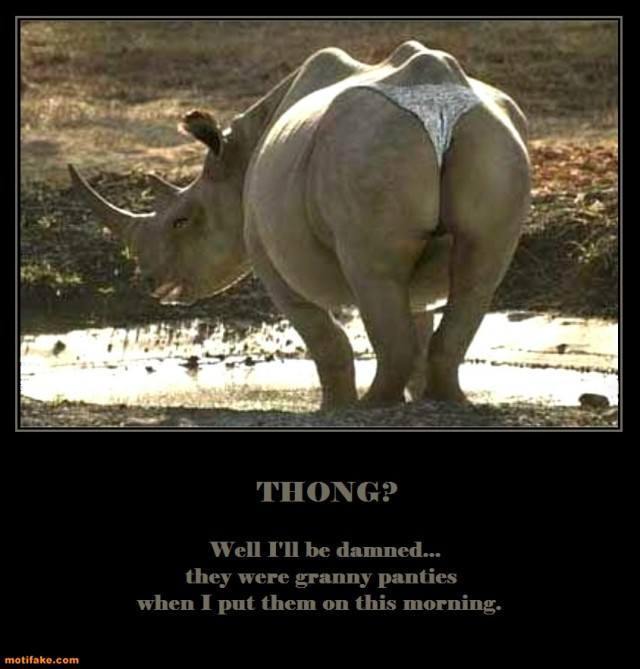 what-thong-rhino-underwear-thong-panties-confusion-demotivational-posters-1399160794.jpg